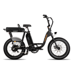 Side view of RadRunner with Passenger Package and Passenger Bars installed.