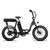 Side view of black RadRunner ebike with black Passenger Package seat on rear rack, clear plastic skirt covers near the rear wheel and retractable passenger foot pegs.