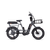 RadRunner 3 Plus electric utility bike with a passenger package installed to allow for a second rider