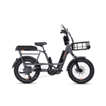 RadRunner 3 Plus electric utility bike with a passenger package installed to allow for a second rider