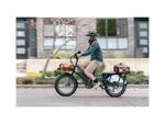 RadWagon™ Electric Cargo Bike