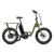 Right side of a green RadRunner cargo utility ebike on a white background.