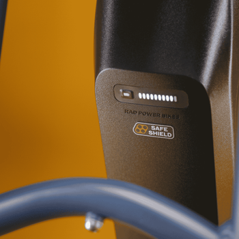 ​​Raising the bar